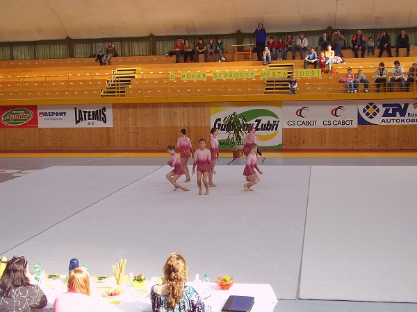 POHÁR STAROSTY 2009