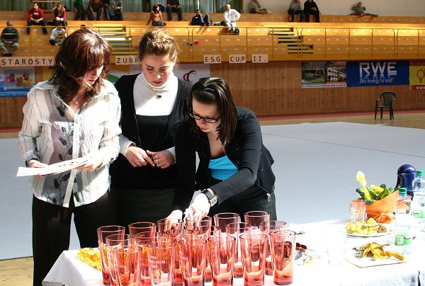 MODERNÍ GYMNASTIKA POHÁR STAROSTY