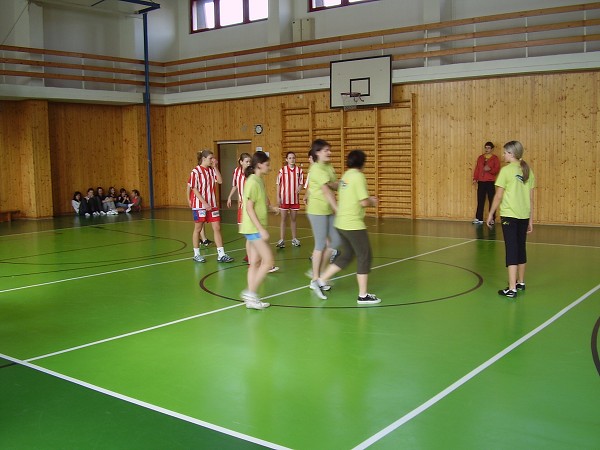 Basket okres a okrsek