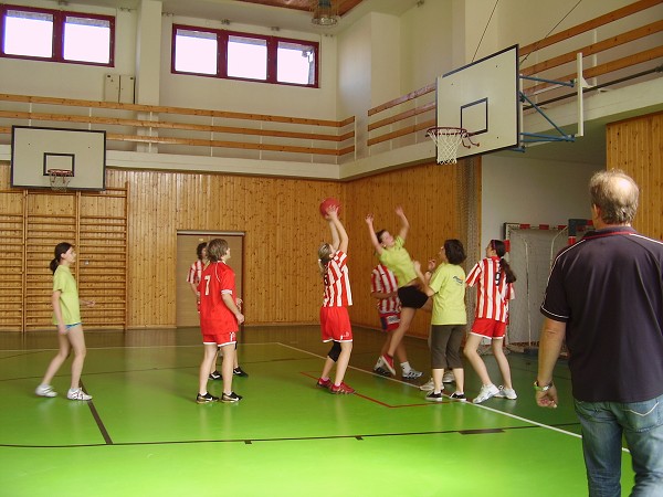 Basket okres a okrsek