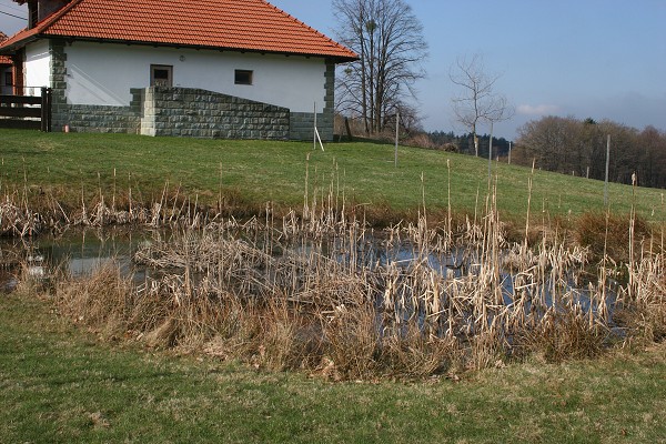 Den země 2010