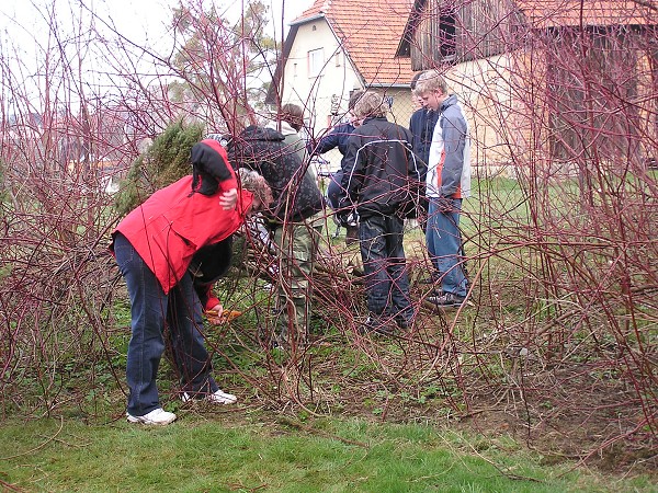 DEN ZEMĚ 2010