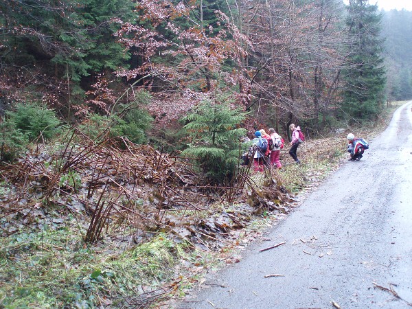 Pobyt v přírodě 2009