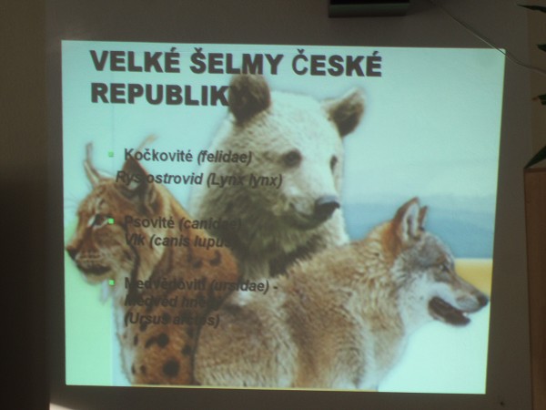 Beseda ekologů EVVO x Šelmy