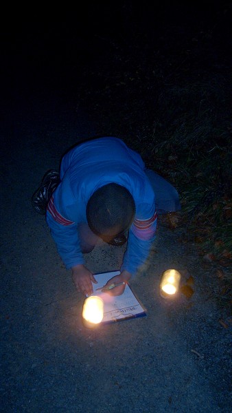 SEMETÍN 2009 6.A