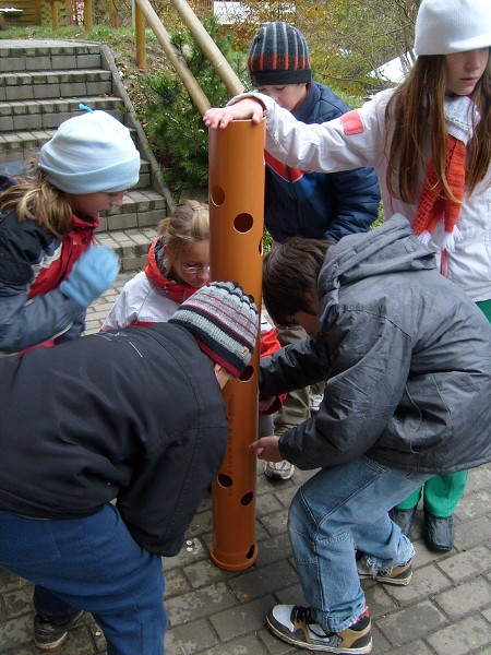 SEMETÍN 2009 6.A