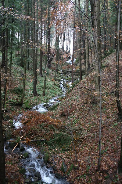 ZEMĚPISNÁ EXKURZE 2009