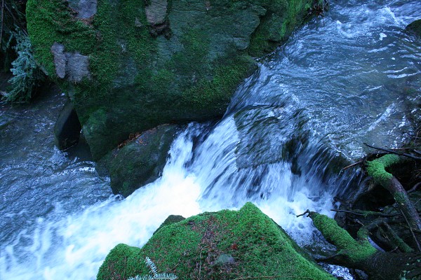 ZEMĚPISNÁ EXKURZE 2009