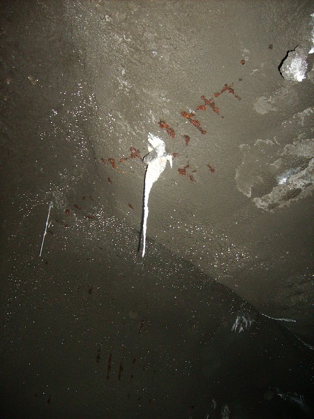 EXKURZE ZEMĚPIS 2011