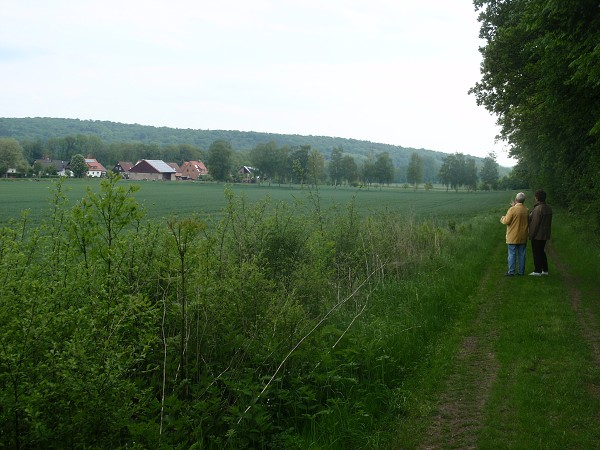 ROSDORF 2012