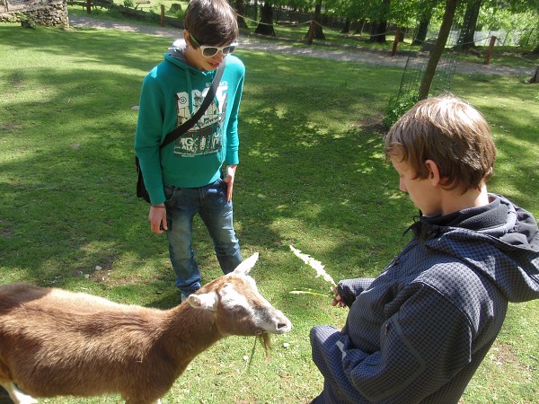 ROSDORF 2012