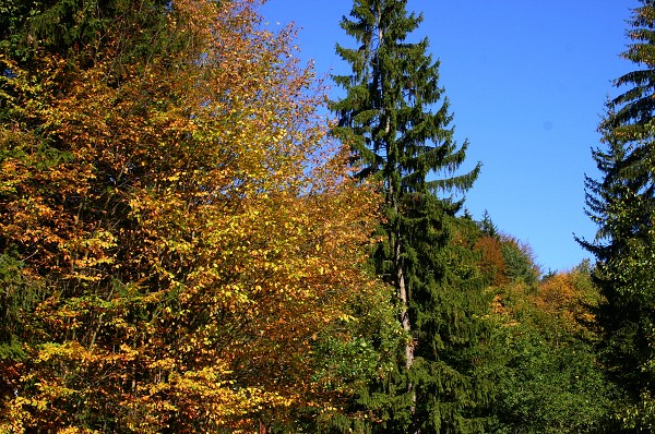 STMELOVACÍ POBYT SEMETÍN 6.B