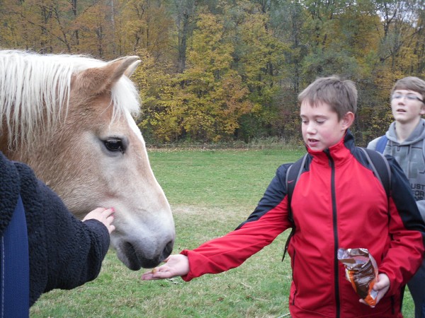 Pobyt v přírodě - Čertovy kameny 2