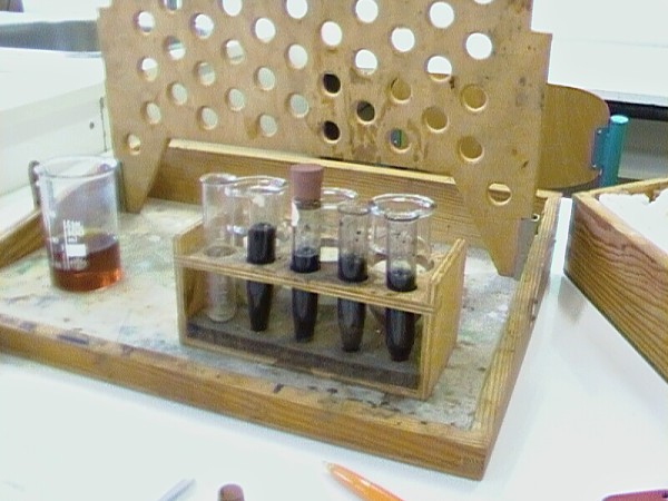 CHBS - extrakce - chromatografie