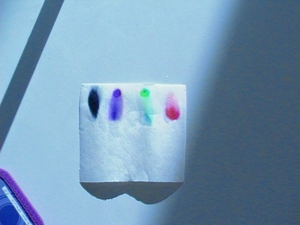 CHBS - extrakce - chromatografie