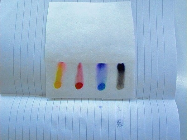 CHBS - extrakce - chromatografie