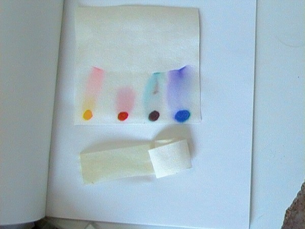 CHBS - extrakce - chromatografie