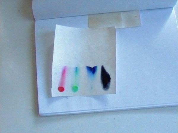 CHBS - extrakce - chromatografie