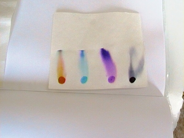 CHBS - extrakce - chromatografie