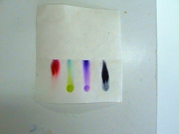 CHBS - extrakce - chromatografie