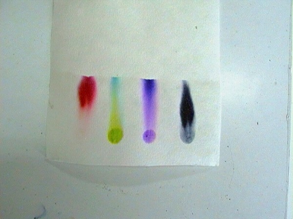 CHBS - extrakce - chromatografie