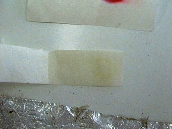 CHBS - extrakce - chromatografie