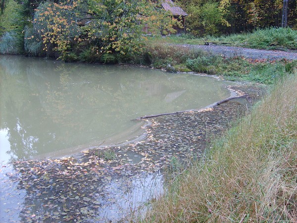 ZEMĚPISNÁ EXKURZE JEZERNÉ-KORŇA-MORÁVKA