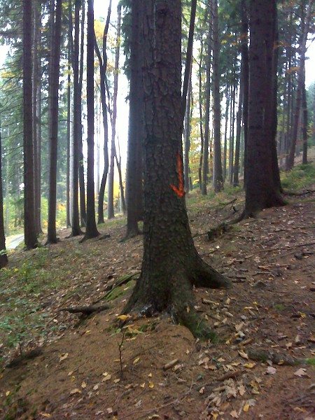 Pobyt v přírodě - Čertovy kameny