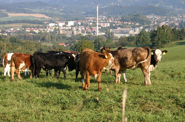 HRADISKO - STONOŽKOVÉ KILOMETRY