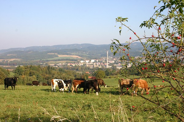 HRADISKO - STONOŽKOVÉ KILOMETRY